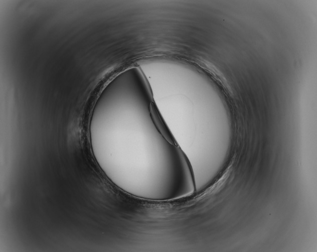 X0000094431210200711081012