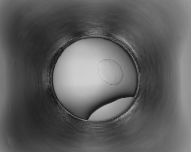 X0000094431211200711081012