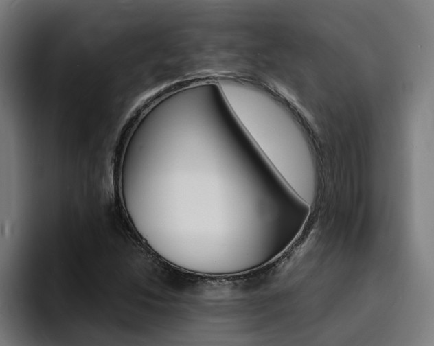 X0000094431214200711081012