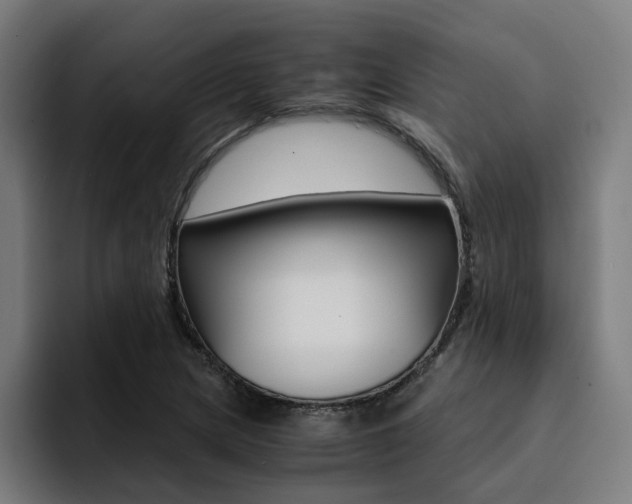 X0000094431217200711081012
