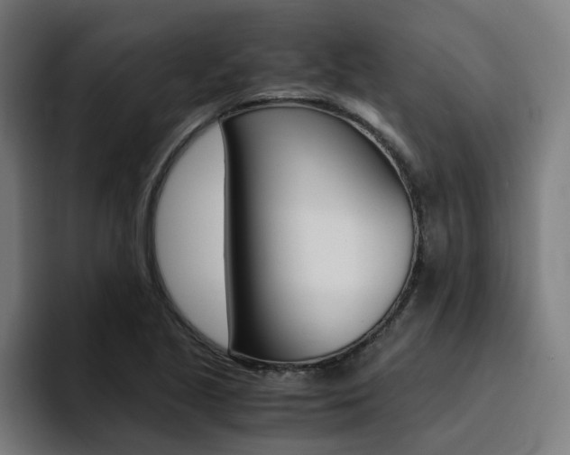 X0000094431221200711081012