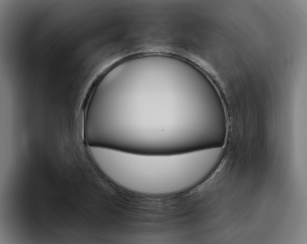 X0000094431223200711081012