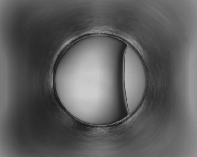 X0000094431224200711081012