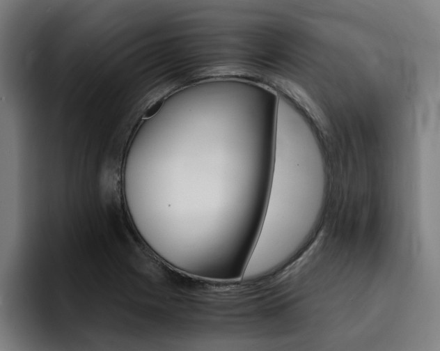 X0000094431225200711081012