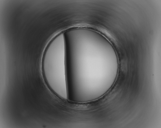 X0000094431229200711081012