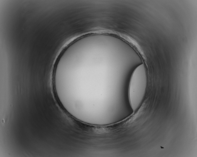 X0000094431231200711081012