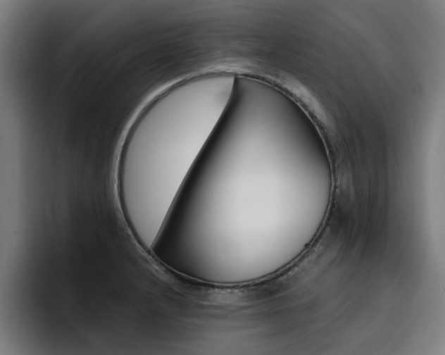 X0000094431232200711081012