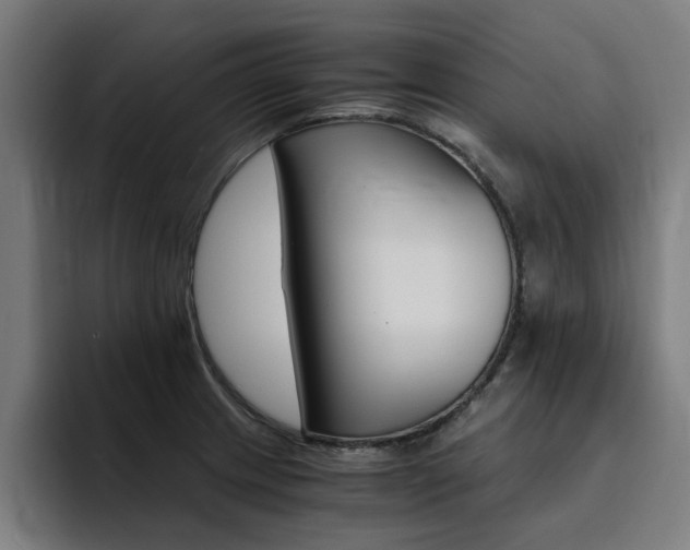 X0000094431233200711081012