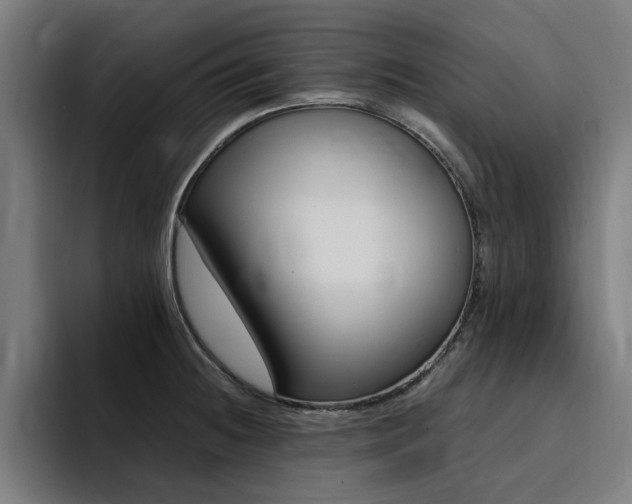 X0000094431236200711081012