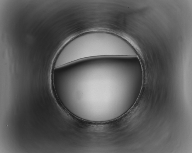 X0000094431237200711081012