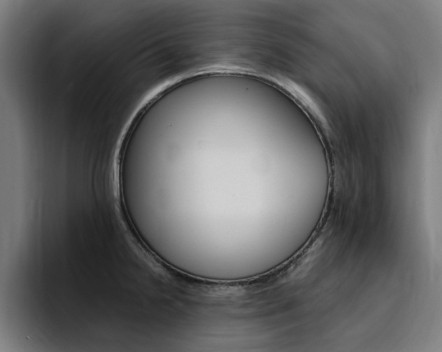 X0000094431238200711081012