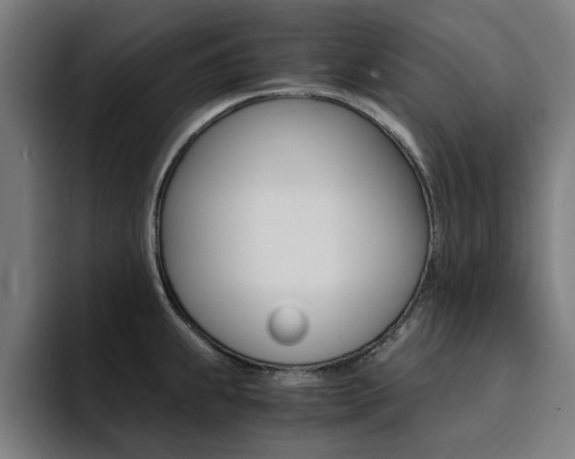 X0000094431239200711081012