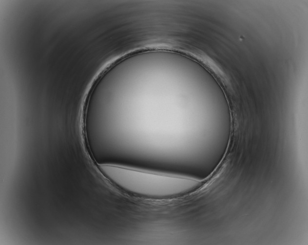 X0000094431240200711081012