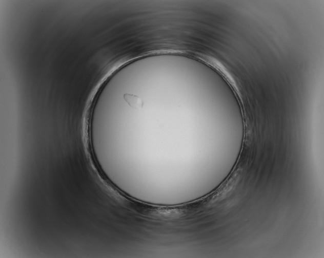 X0000094431243200711081012