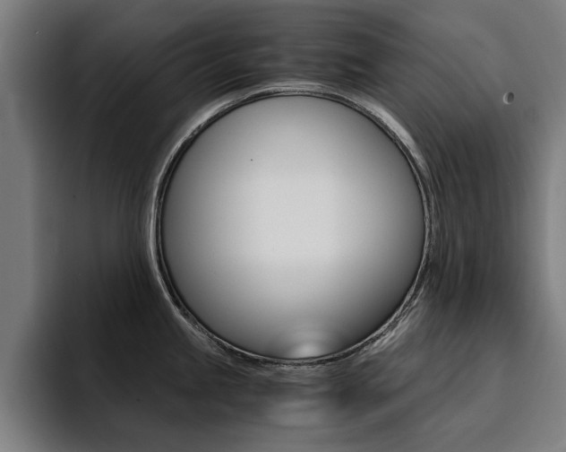 X0000094431245200711081012