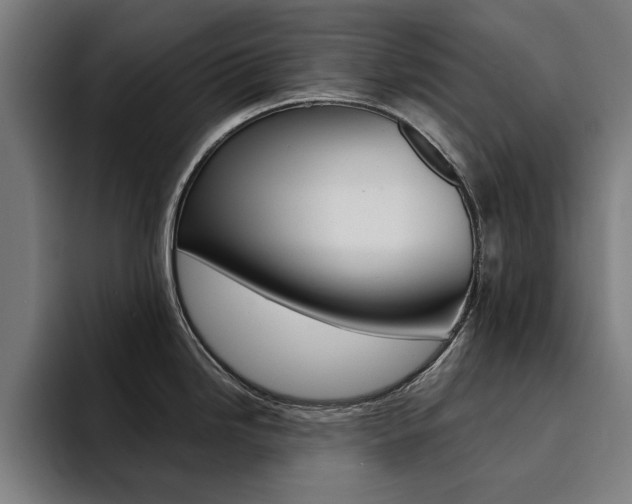 X0000094431246200711081012