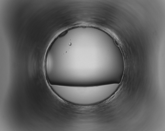 X0000094431247200711081012