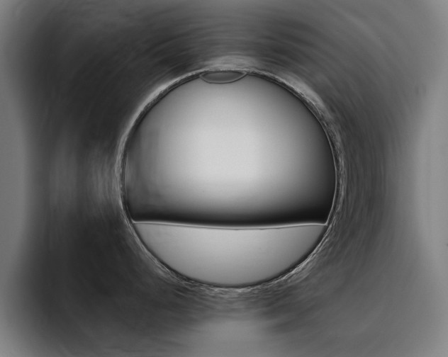 X0000094431248200711081012