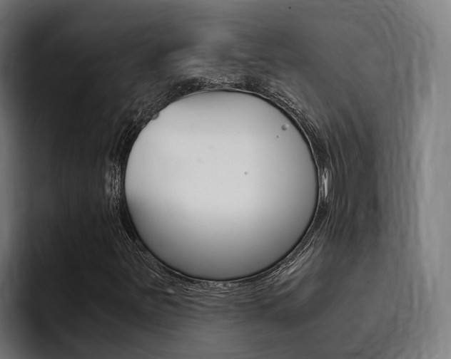 X0000094431251200711081012