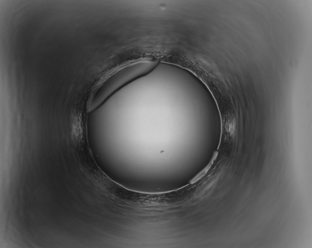 X0000094431252200711081012