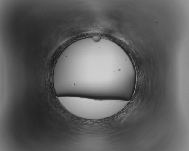 X0000094431255200711081012