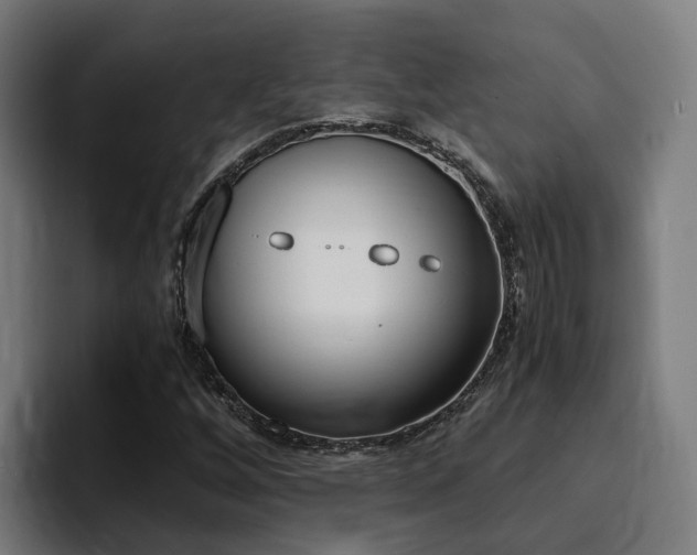 X0000094431256200711081012