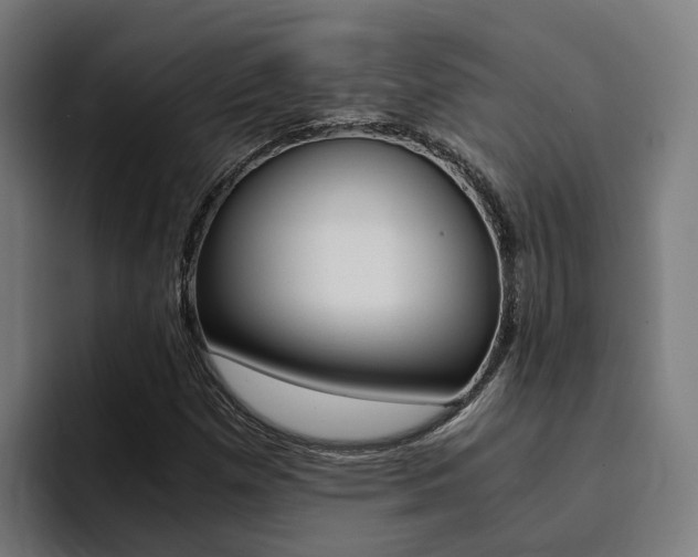 X0000094431257200711081012