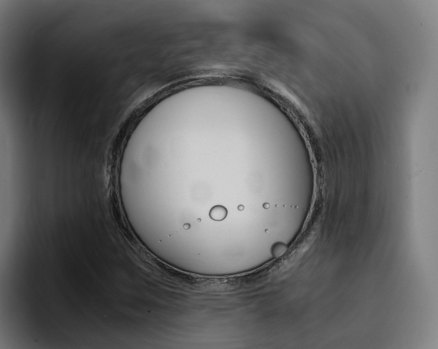 X0000094431259200711081012