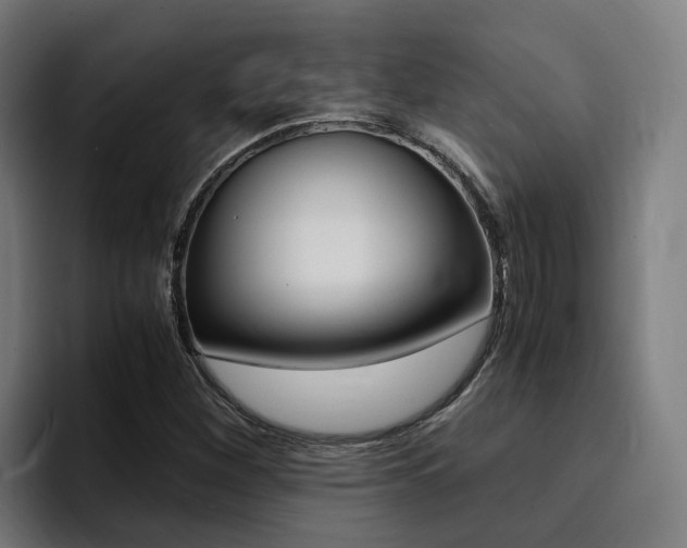 X0000094431260200711081012