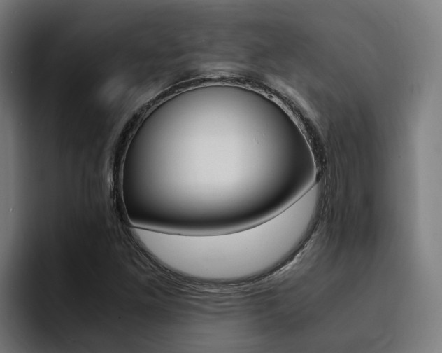 X0000094431261200711081012