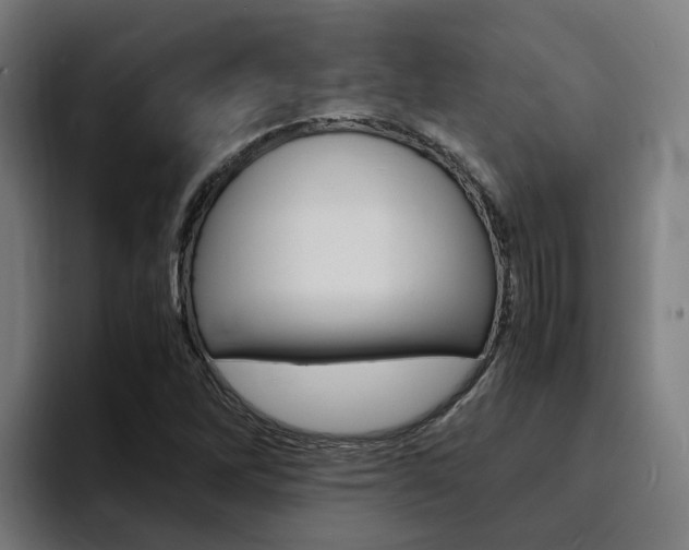 X0000094431262200711081012