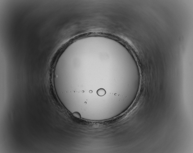 X0000094431263200711081012