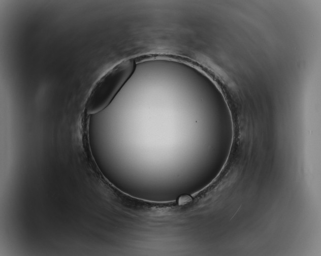 X0000094431264200711081012