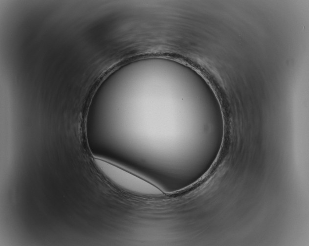 X0000094431265200711081012