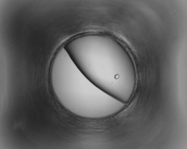 X0000094431267200711081012
