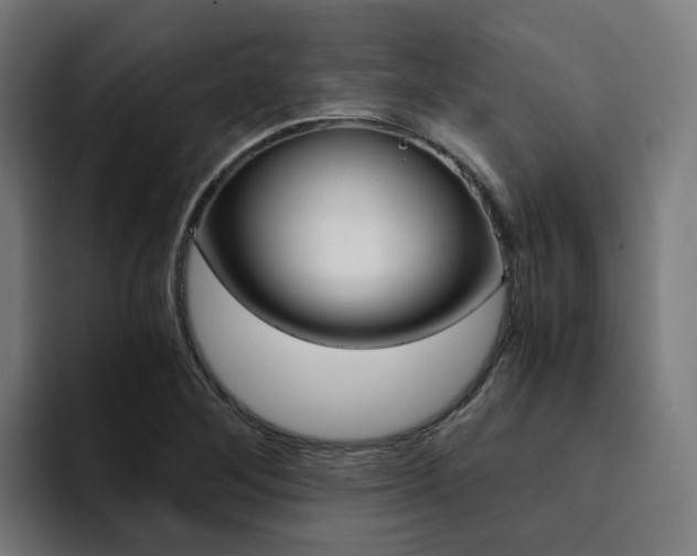 X0000094431268200711081011