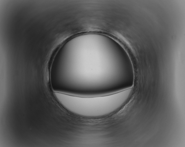 X0000094431269200711081011