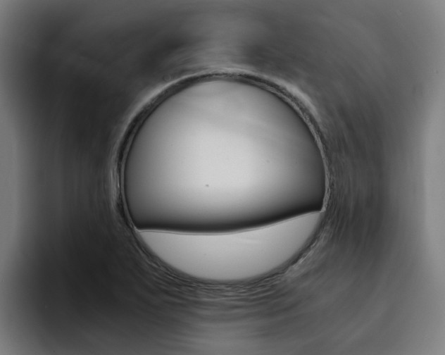 X0000094431271200711081011