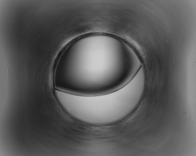 X0000094431272200711081011