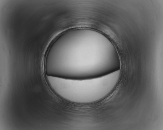 X0000094431275200711081011