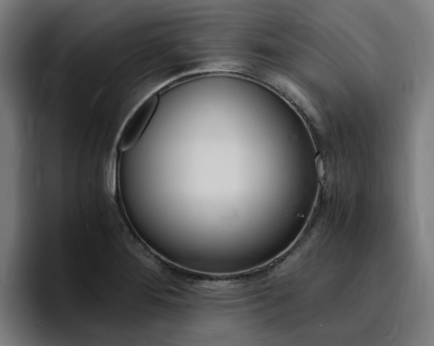 X0000094431276200711081011