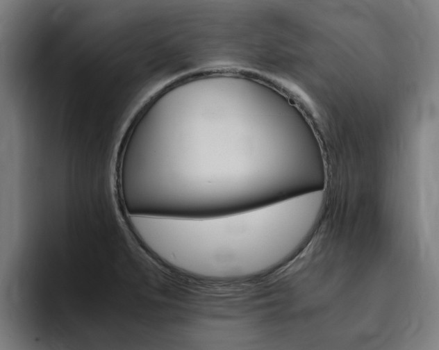 X0000094431279200711081011