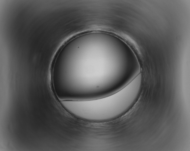X0000094431280200711081011