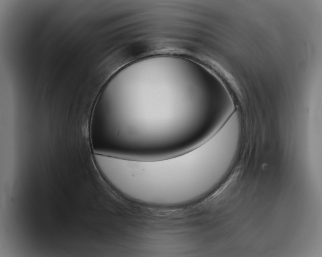 X0000094431281200711081011