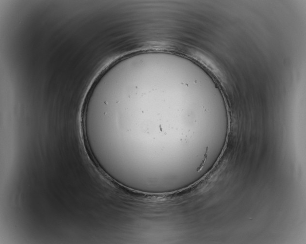 X0000094431283200711081011