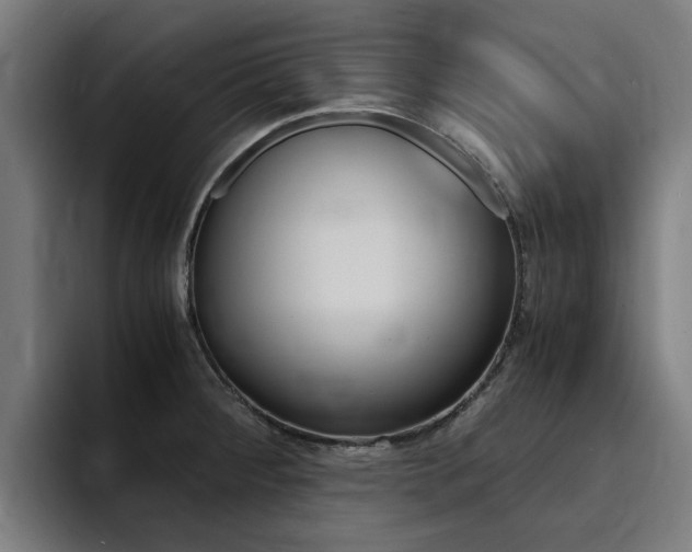 X0000094431284200711081011
