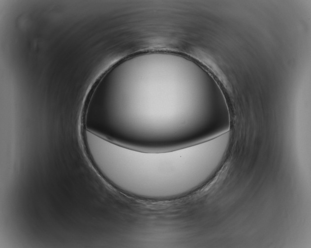 X0000094431285200711081011