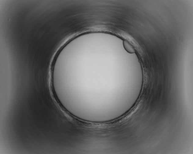 X0000094431286200711081011