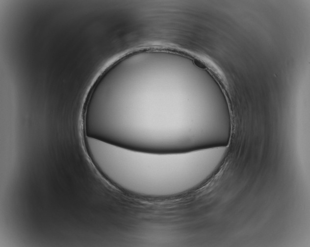 X0000094431287200711081011