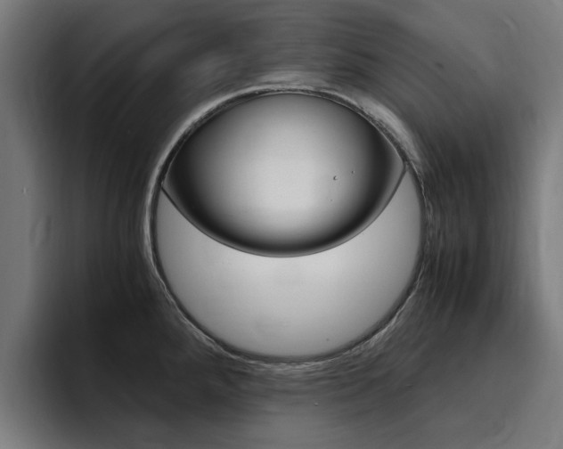 X0000094431288200711081011
